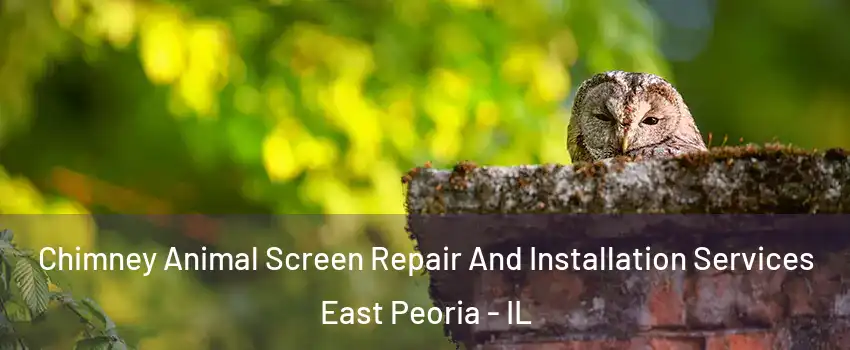  Chimney Animal Screen Repair And Installation Services East Peoria - IL