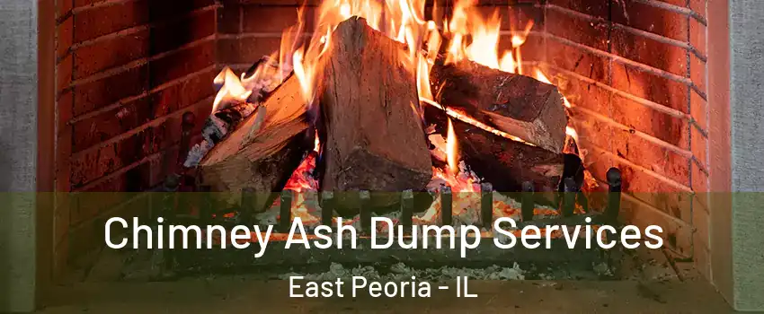  Chimney Ash Dump Services East Peoria - IL