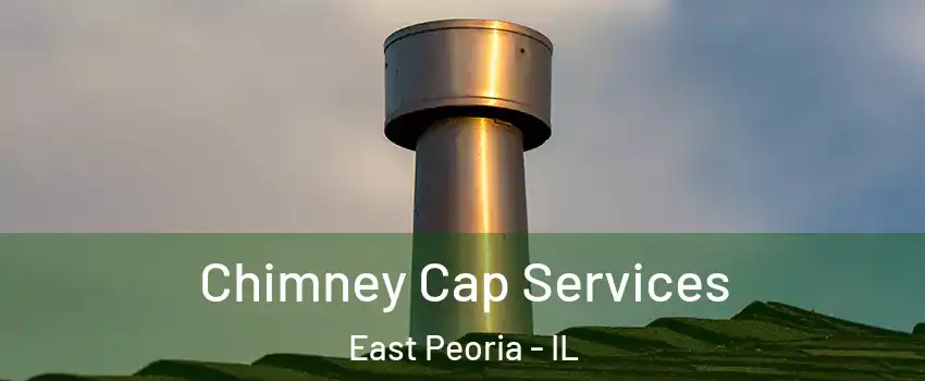  Chimney Cap Services East Peoria - IL