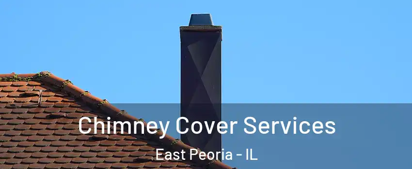  Chimney Cover Services East Peoria - IL