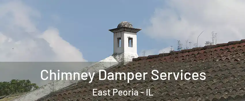  Chimney Damper Services East Peoria - IL