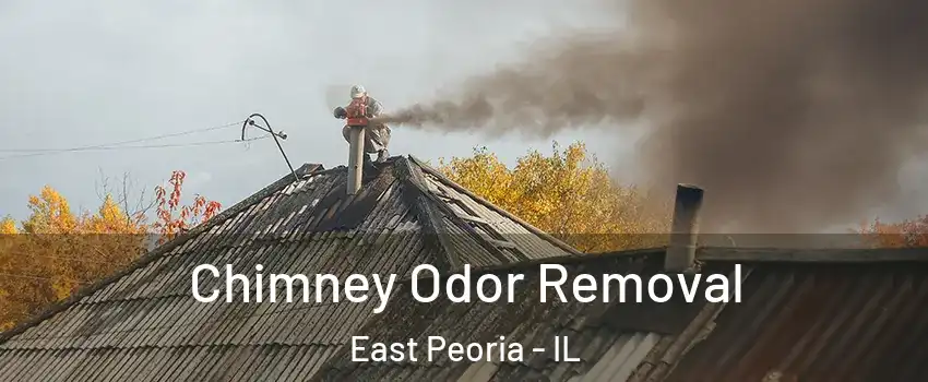  Chimney Odor Removal East Peoria - IL