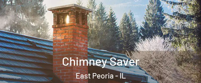  Chimney Saver East Peoria - IL