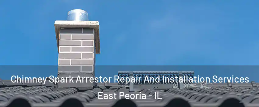  Chimney Spark Arrestor Repair And Installation Services East Peoria - IL