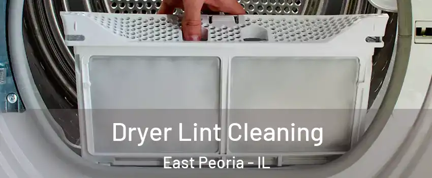  Dryer Lint Cleaning East Peoria - IL