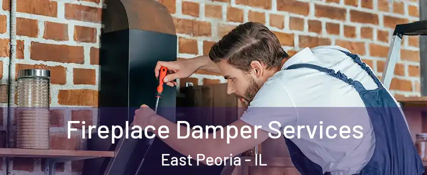  Fireplace Damper Services East Peoria - IL