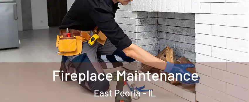  Fireplace Maintenance East Peoria - IL