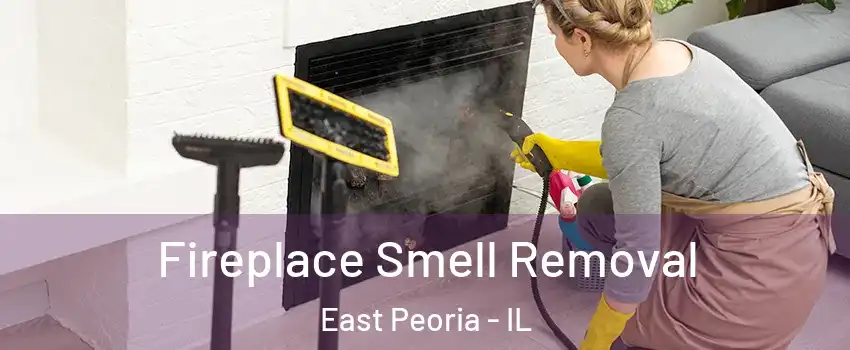  Fireplace Smell Removal East Peoria - IL