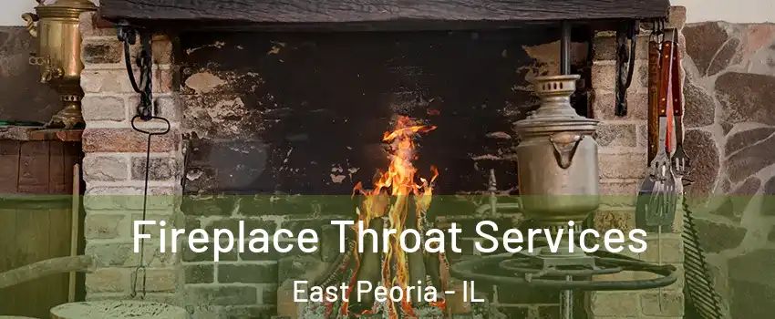  Fireplace Throat Services East Peoria - IL