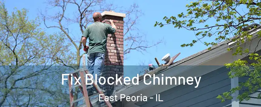  Fix Blocked Chimney East Peoria - IL