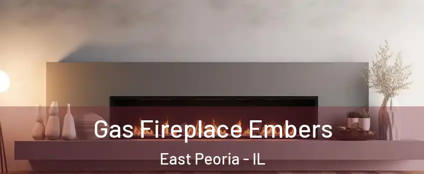 Gas Fireplace Embers East Peoria - IL