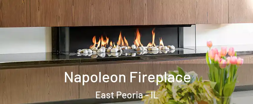  Napoleon Fireplace East Peoria - IL